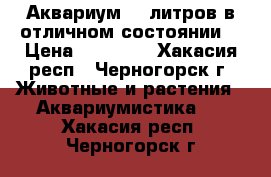 Аквариум 200литров в отличном состоянии! › Цена ­ 18 000 - Хакасия респ., Черногорск г. Животные и растения » Аквариумистика   . Хакасия респ.,Черногорск г.